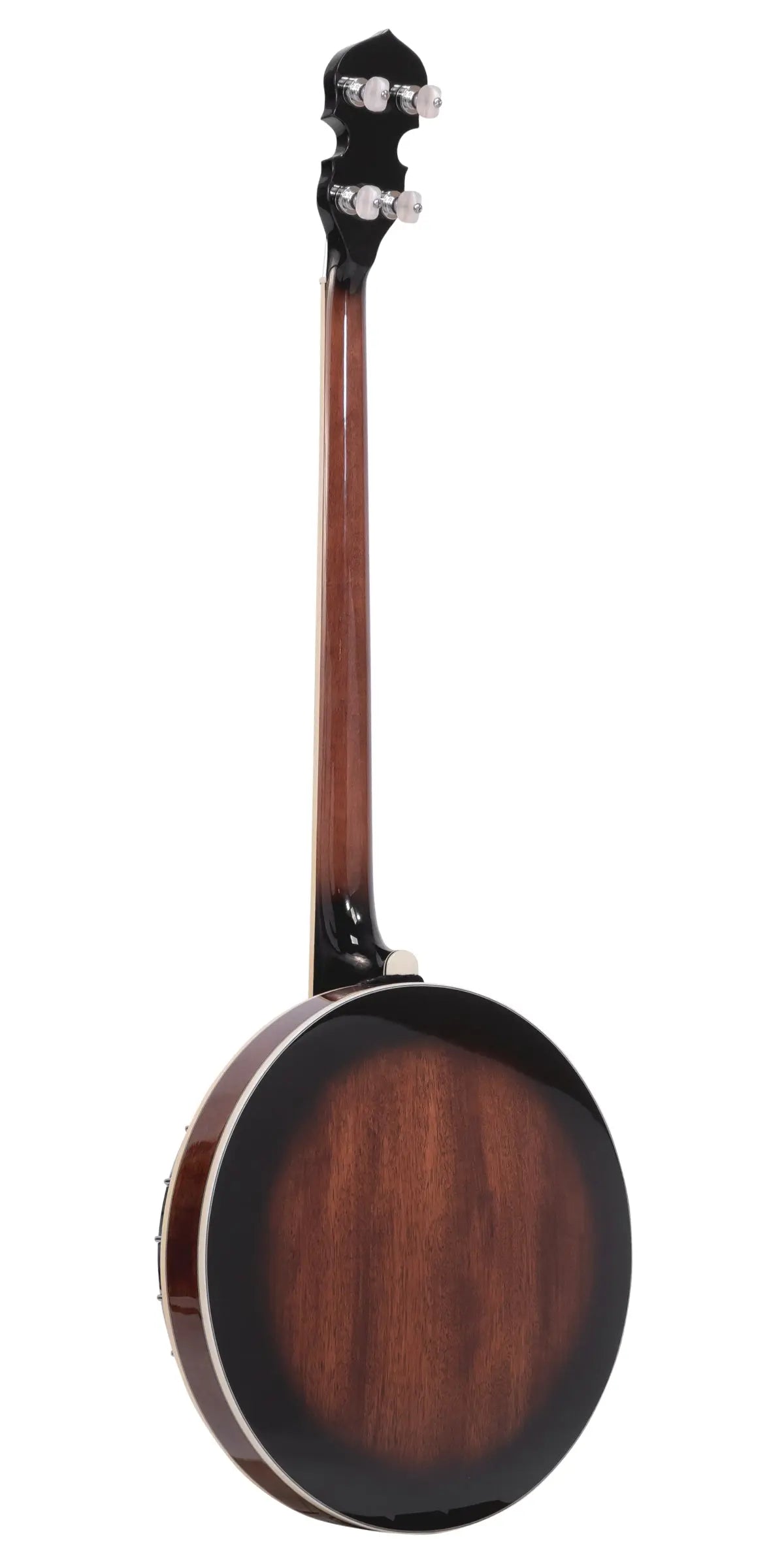 Gold Tone Plectrum Special Banjo, PS-250