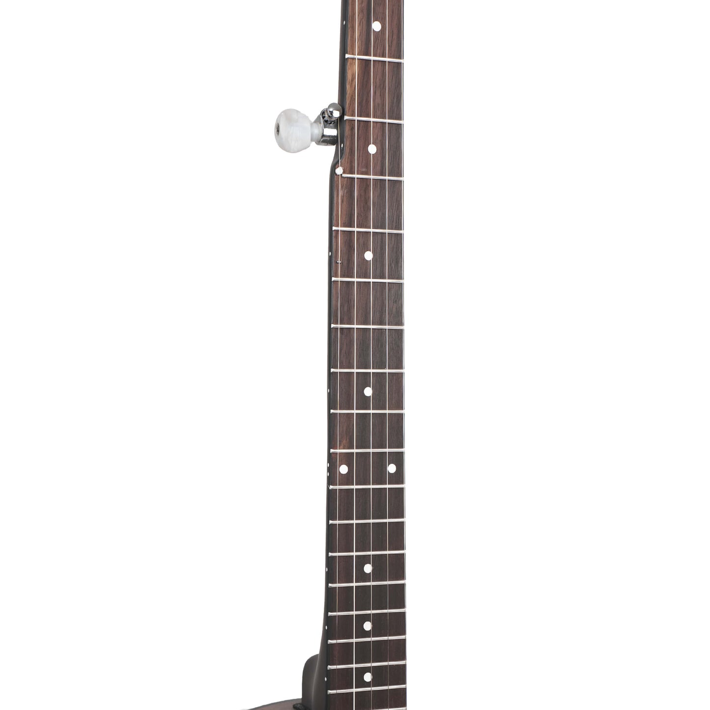 CC-BG: Cripple Creek Banjo Bluegrass Starter Pack Banjos Gold Tone