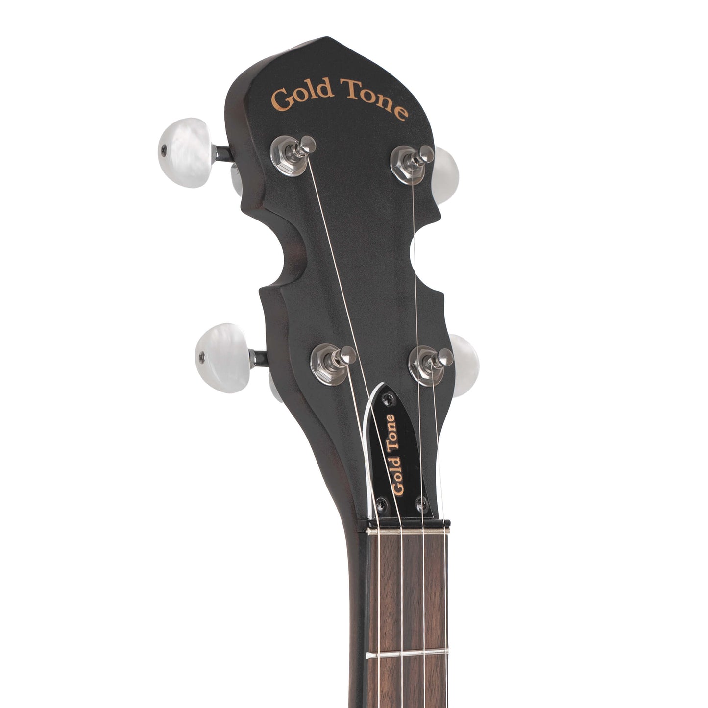 CC-BG: Cripple Creek Banjo Bluegrass Starter Pack Banjos Gold Tone