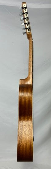 APC Viola Braguesa Viola Braguesas APC