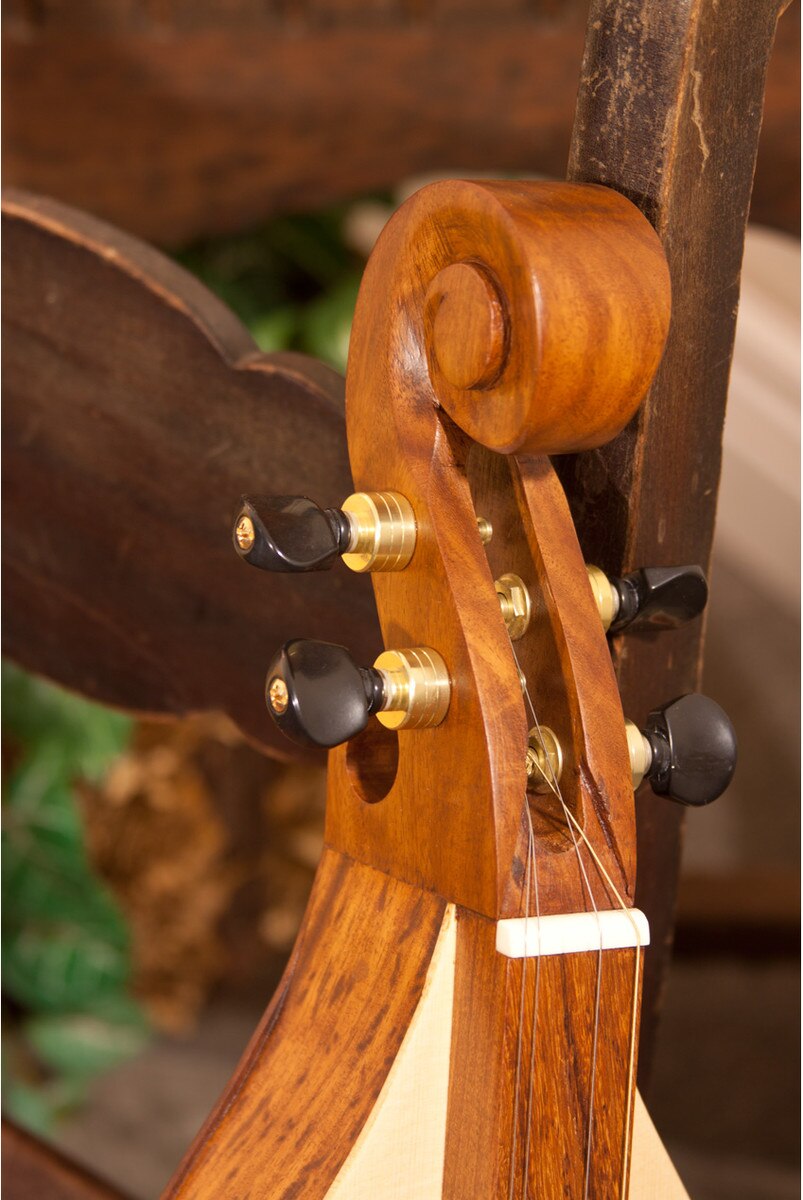 Roosebeck Emma Mountain Dulcimer, 4-String, Vaulted Fretboard, Spruce Soundboard, F-Holes