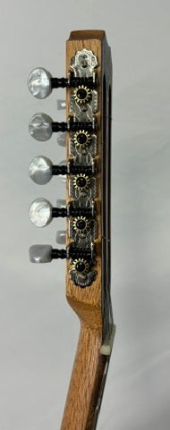 APC Viola Braguesa Viola Braguesas APC