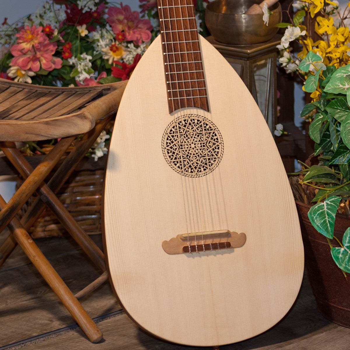 Roosebeck Lute-Guitar, 6 String, Variegated, Gears
