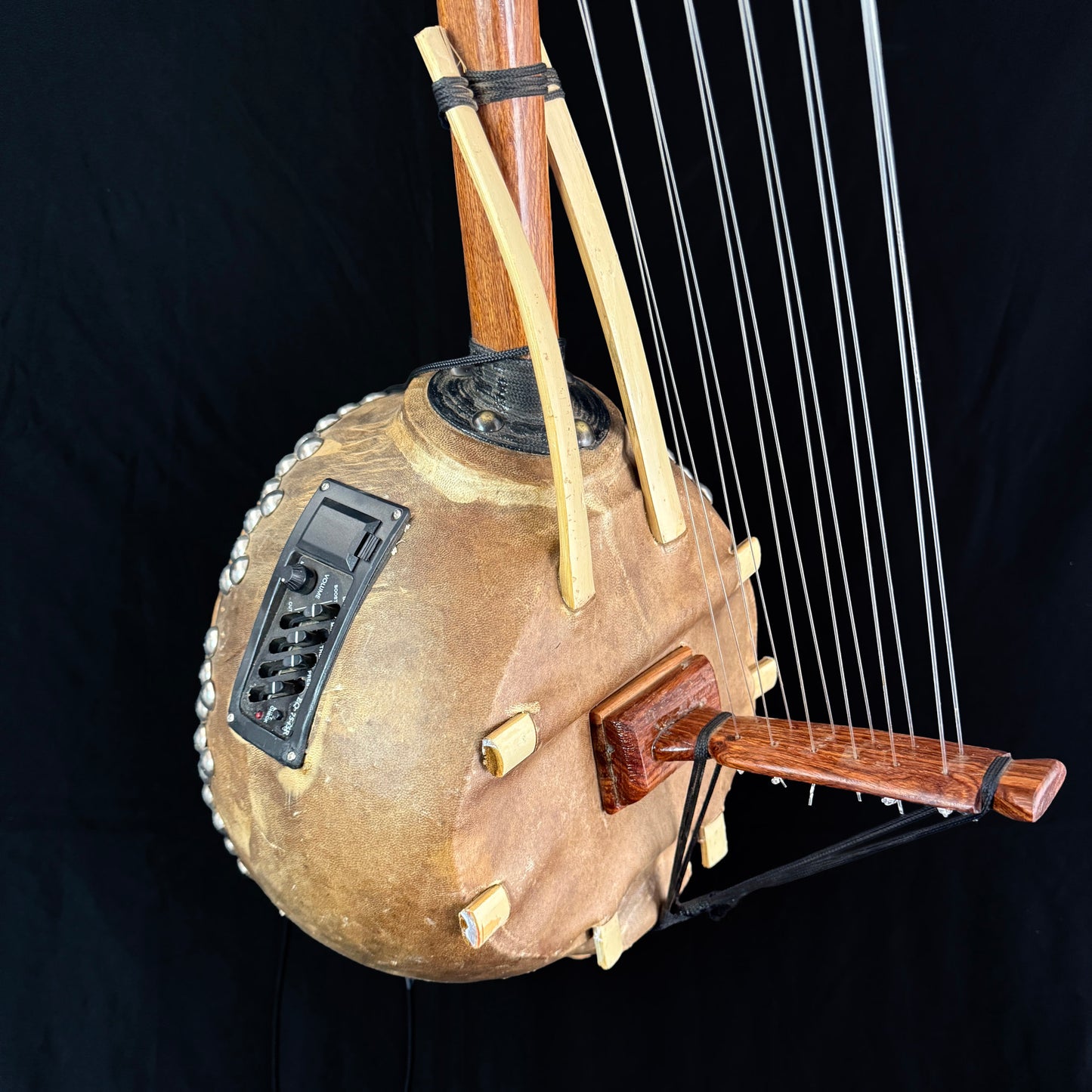 Kamele Ngoni, 12-String, with Pickup