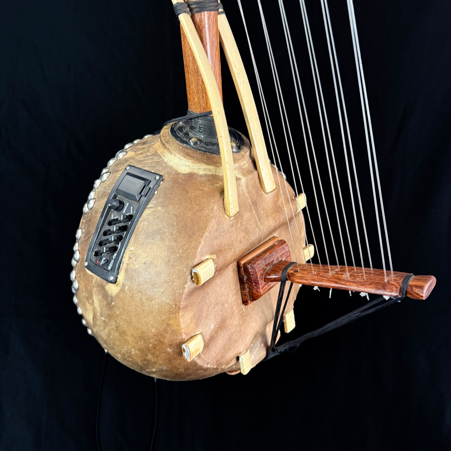 Kamele Ngoni, 12-String, with Pickup