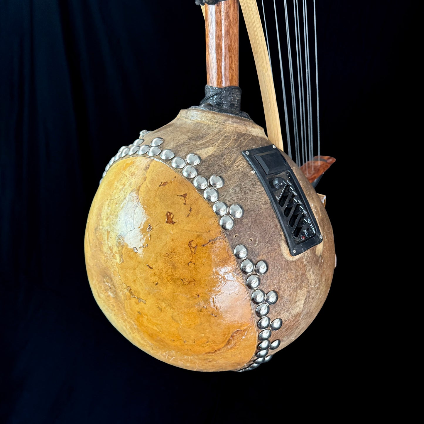 Kamele Ngoni, 12-String, with Pickup