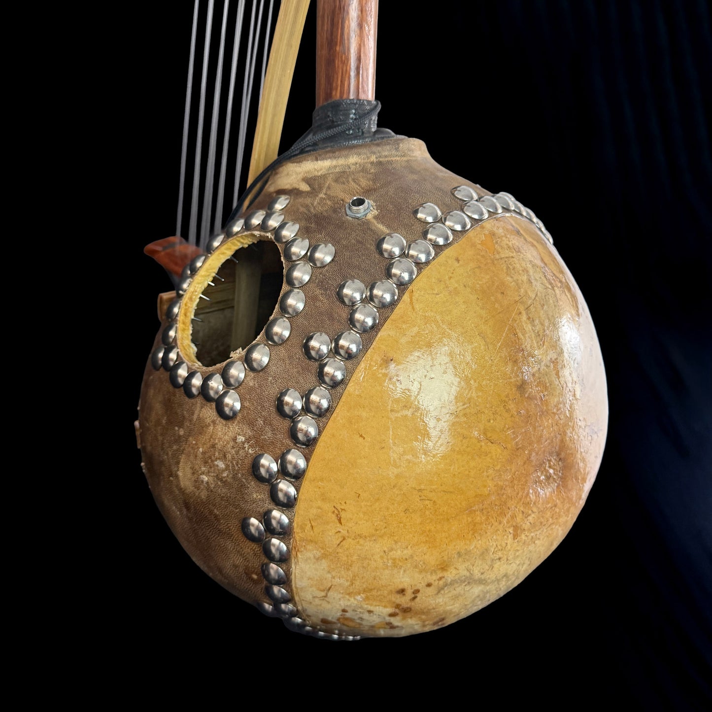 Kamele Ngoni, 12-String, with Pickup