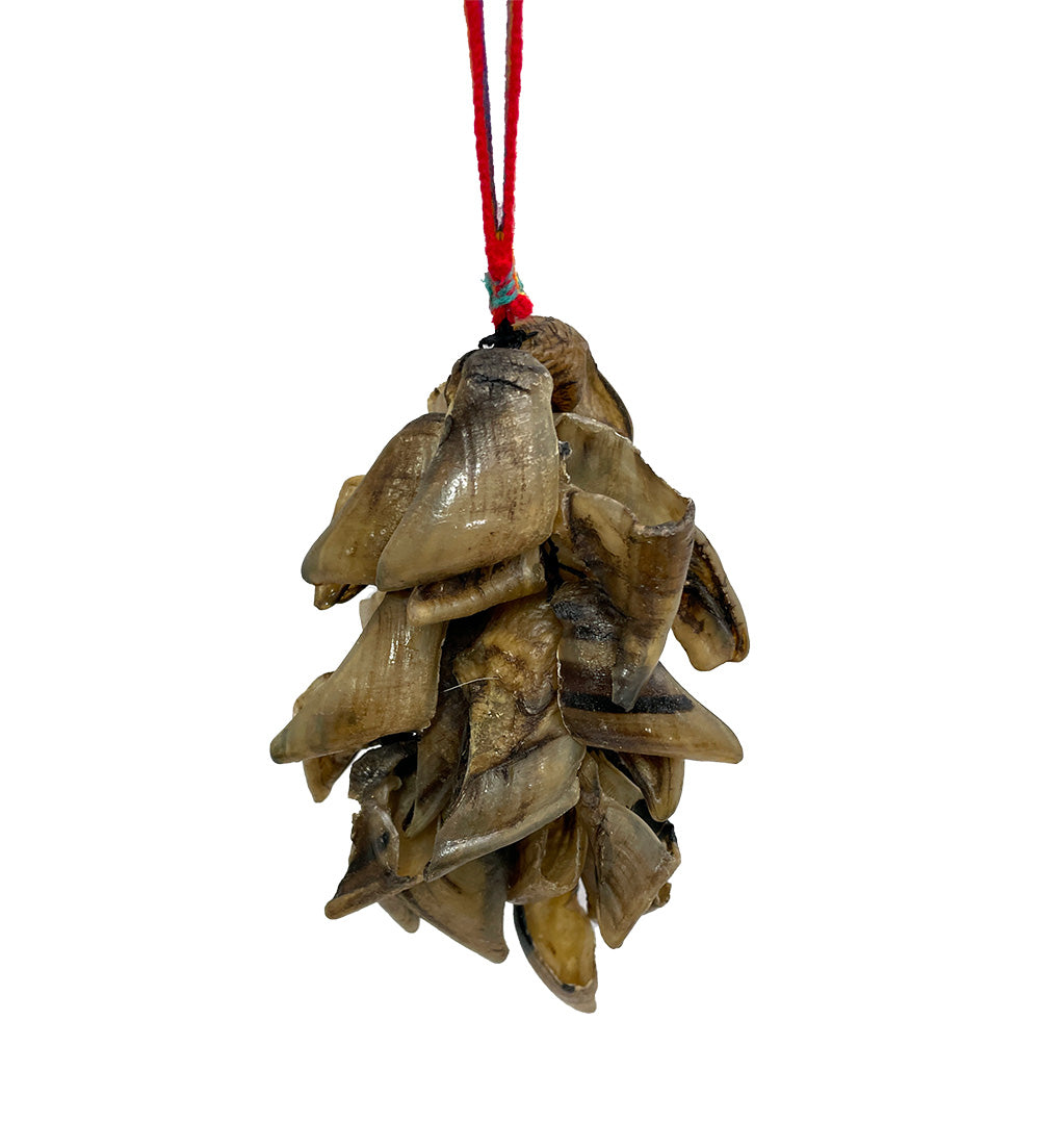 Goat Toenail Shaker Shakers, Maracas & Rattles Lark in the Morning