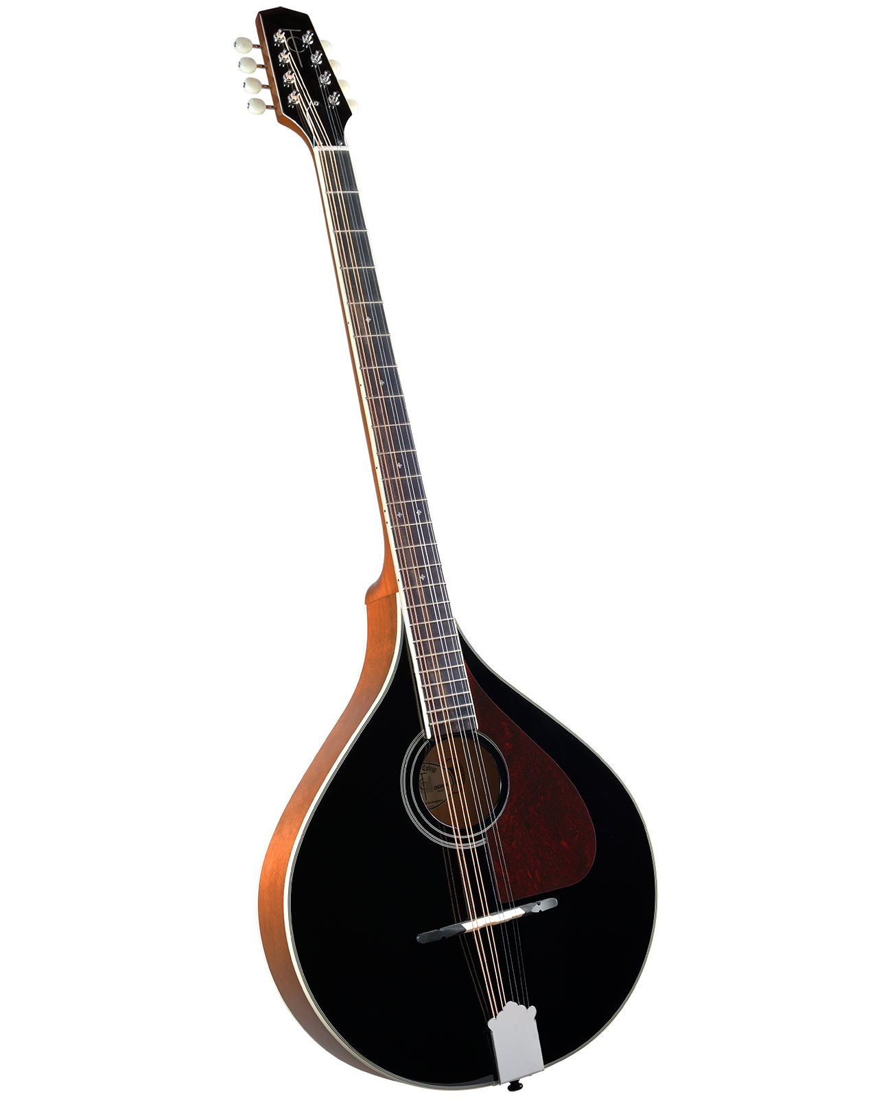 Trinity College TM-375B Irish Bouzouki - Black Top Bouzoukis Trinity College