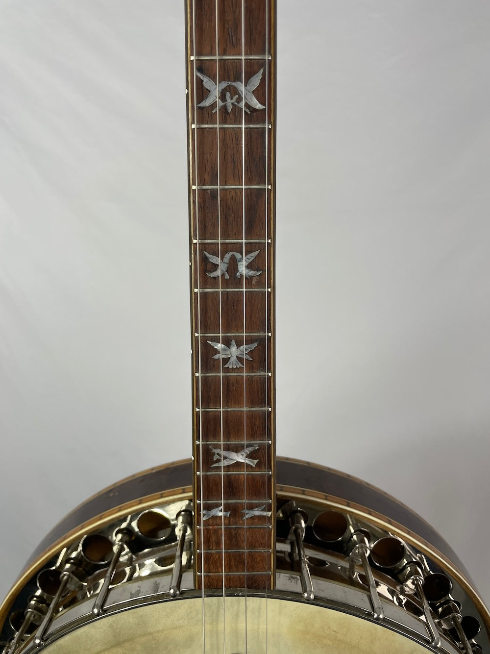 Paramount Tenor Banjo, C Style, c. 1922 Banjos Lark in the Morning