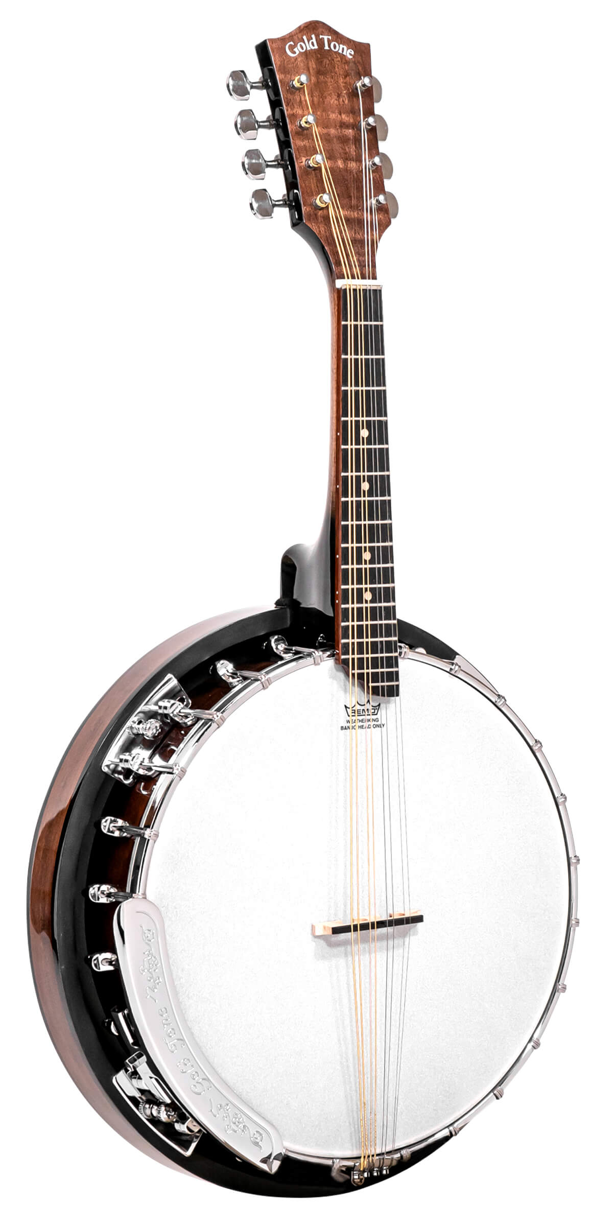Gold Tone Mandolin Banjo (Banjolin) Banjos Gold Tone