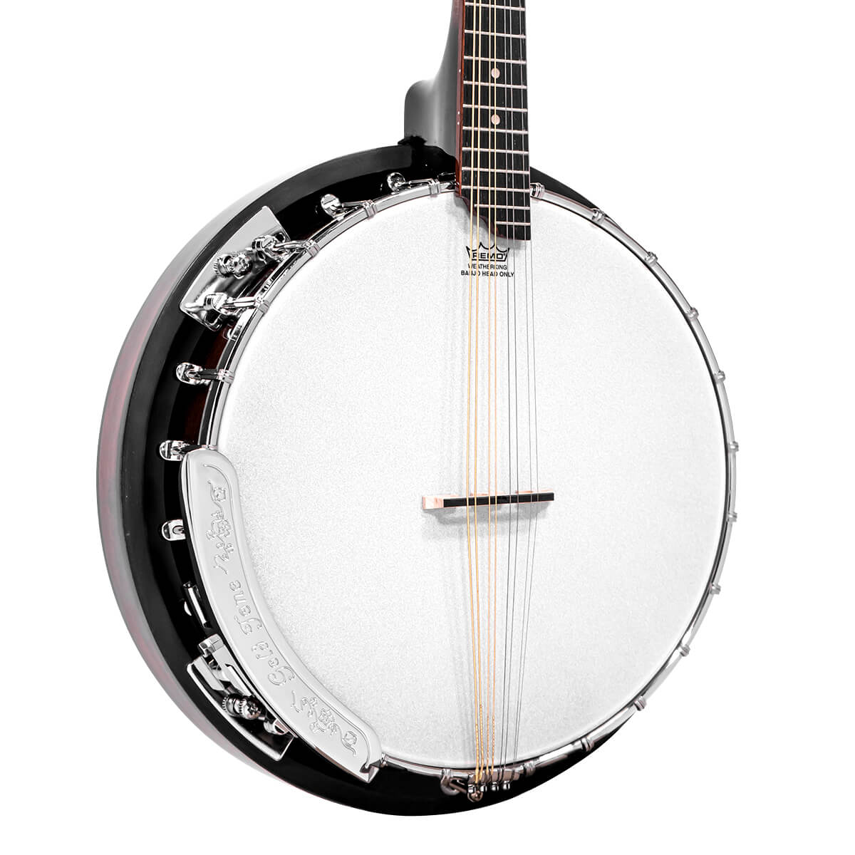 Gold Tone Mandolin Banjo (Banjolin) Banjos Gold Tone