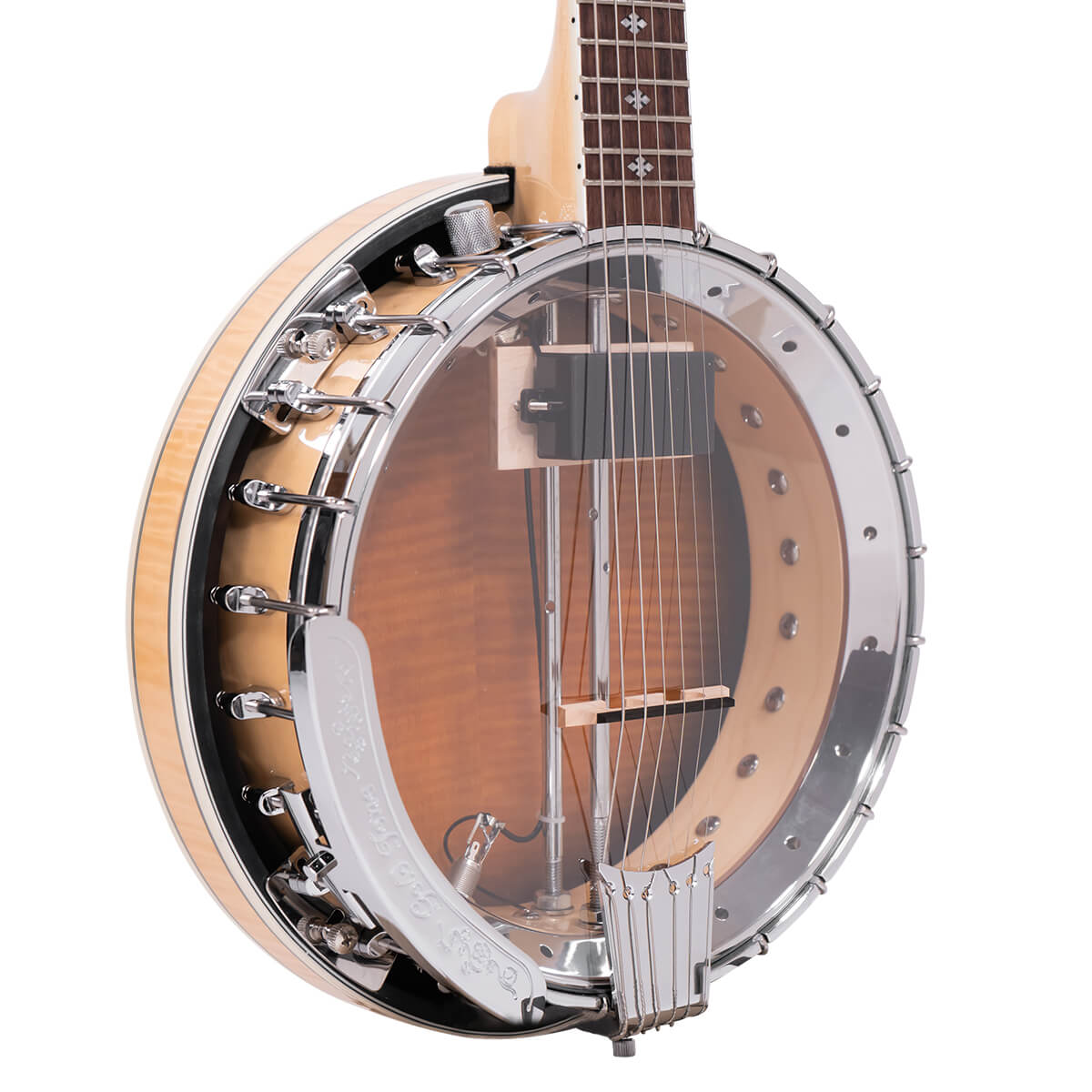 Gold Tone Banjitar Deluxe GT-750 Banjos Gold Tone
