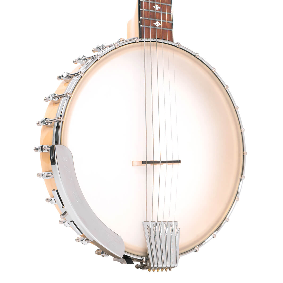 Gold Tone Banjitar, BT-1000 Banjos Gold Tone