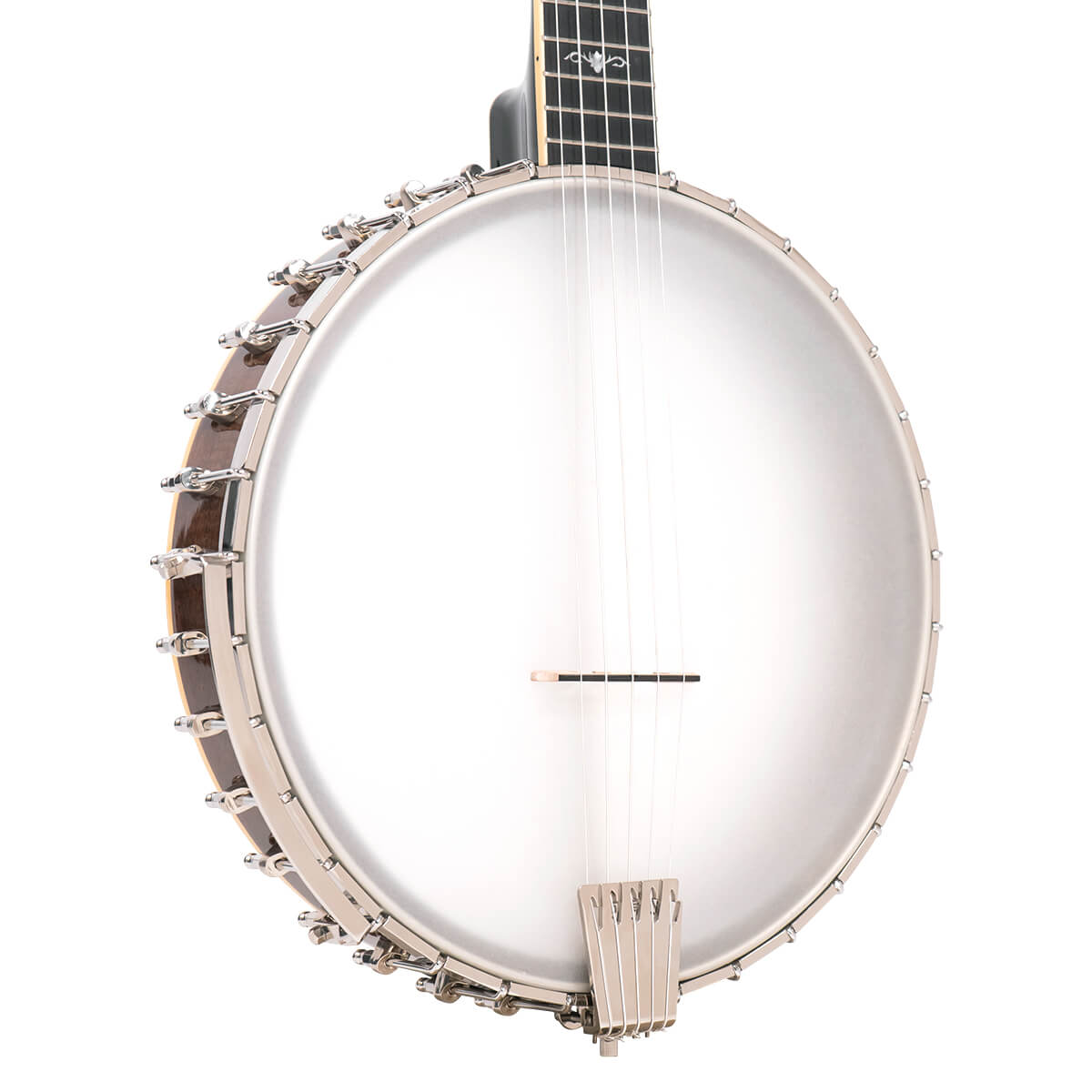Gold Tone 5-String Cello Banjo Banjos Gold Tone
