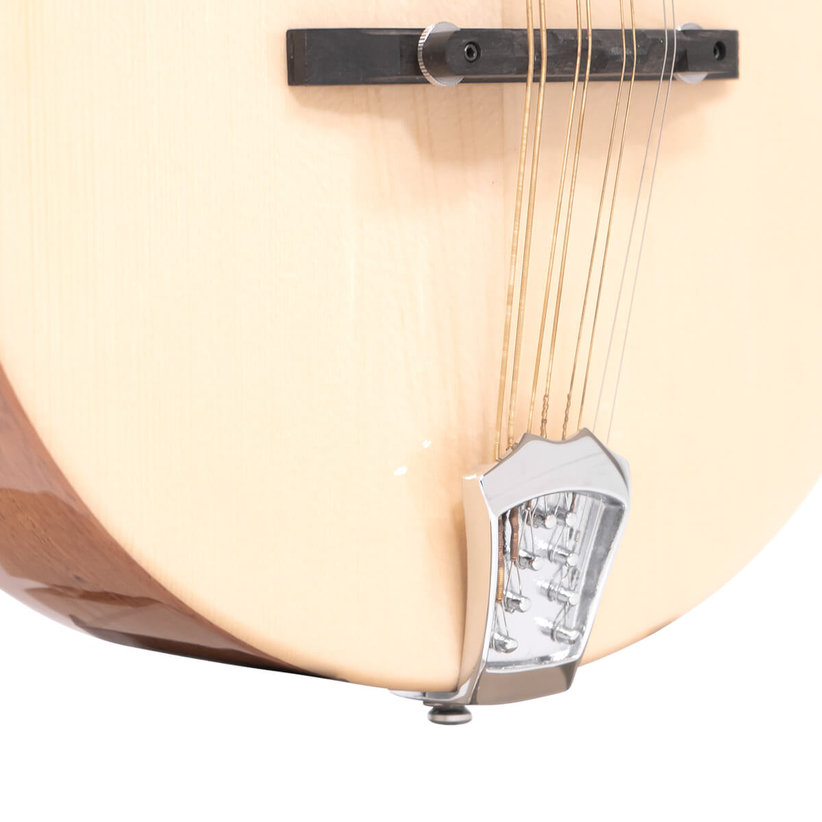 Gold Tone Mandola Mandolins Gold Tone