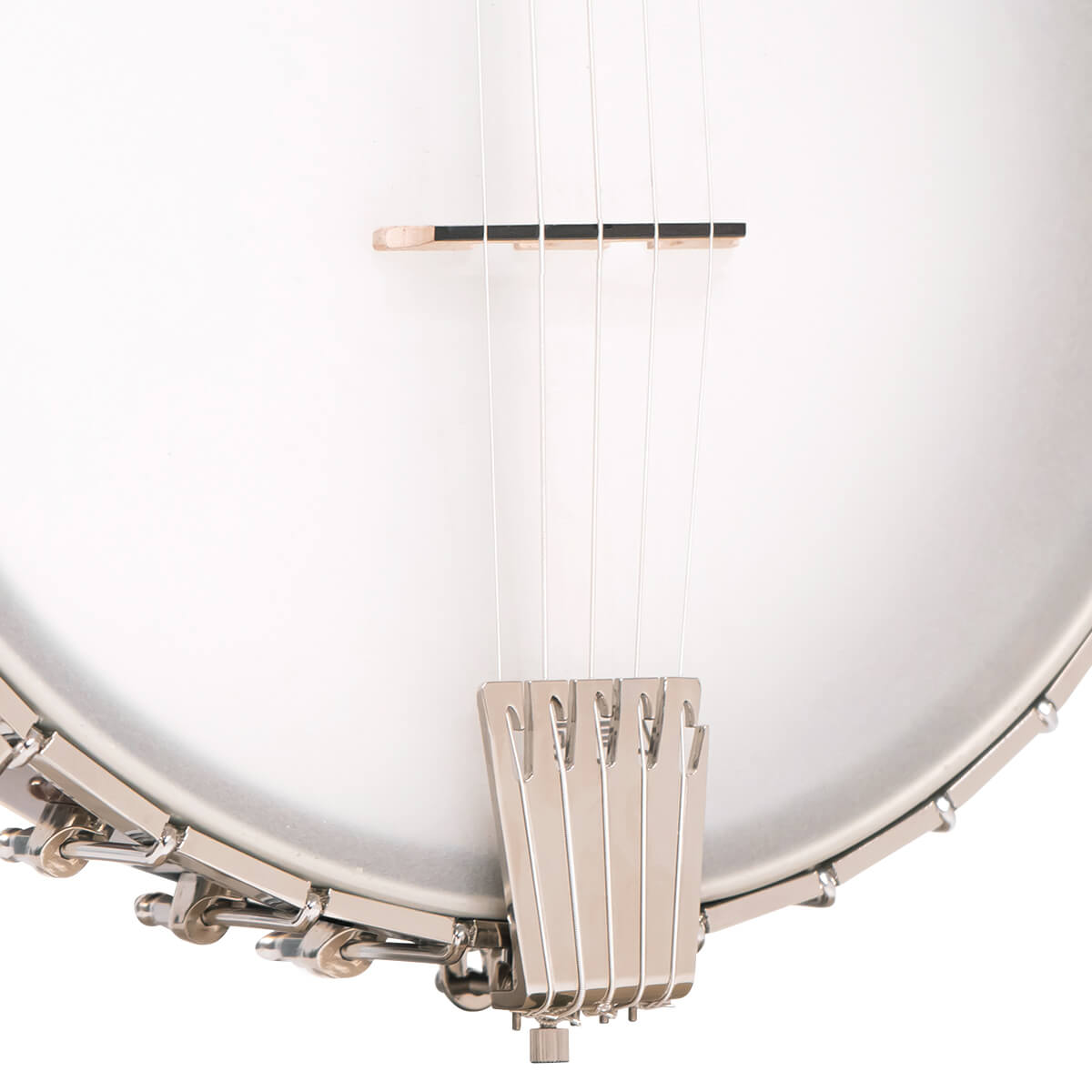 Gold Tone 5-String Cello Banjo Banjos Gold Tone