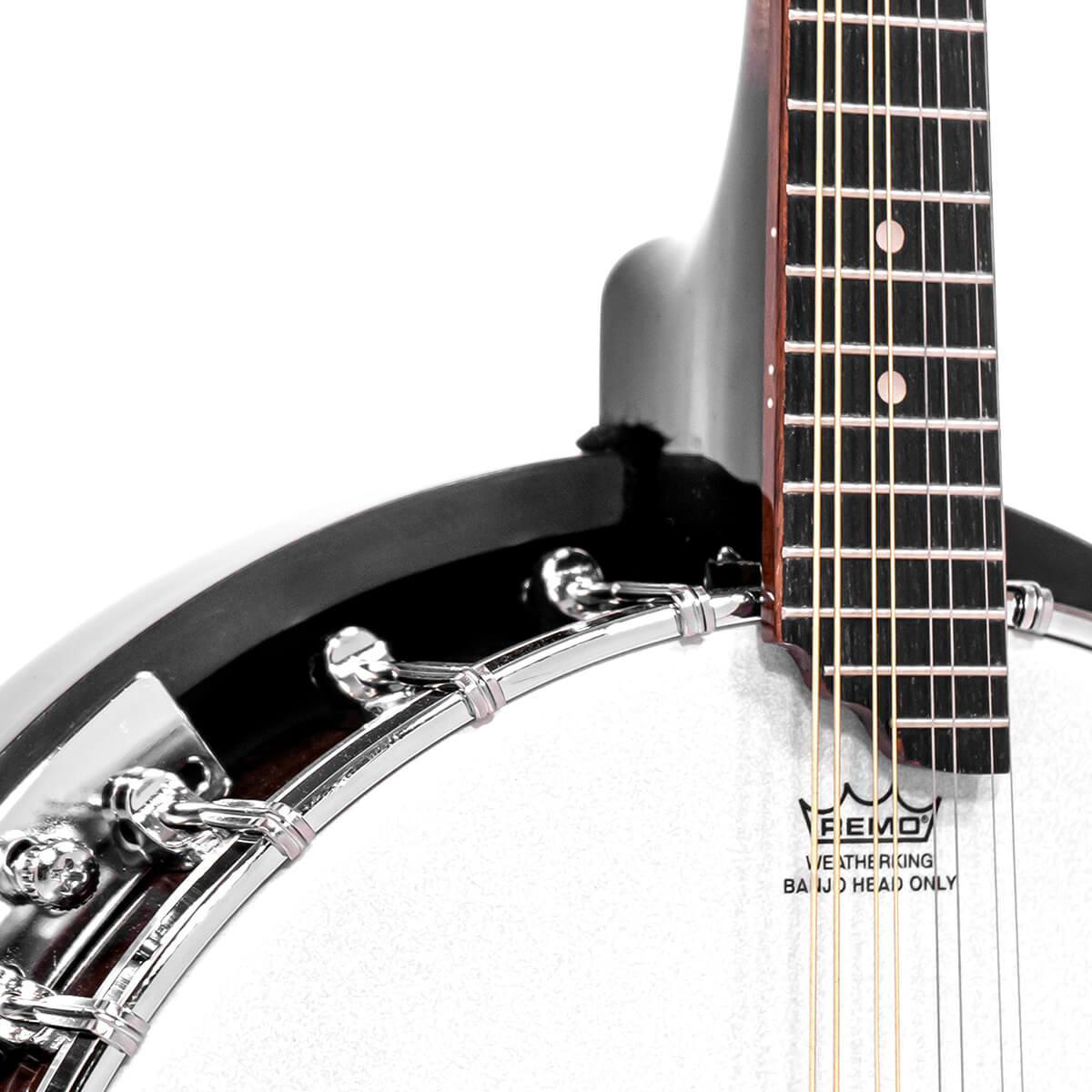 Gold Tone Mandolin Banjo (Banjolin) Banjos Gold Tone