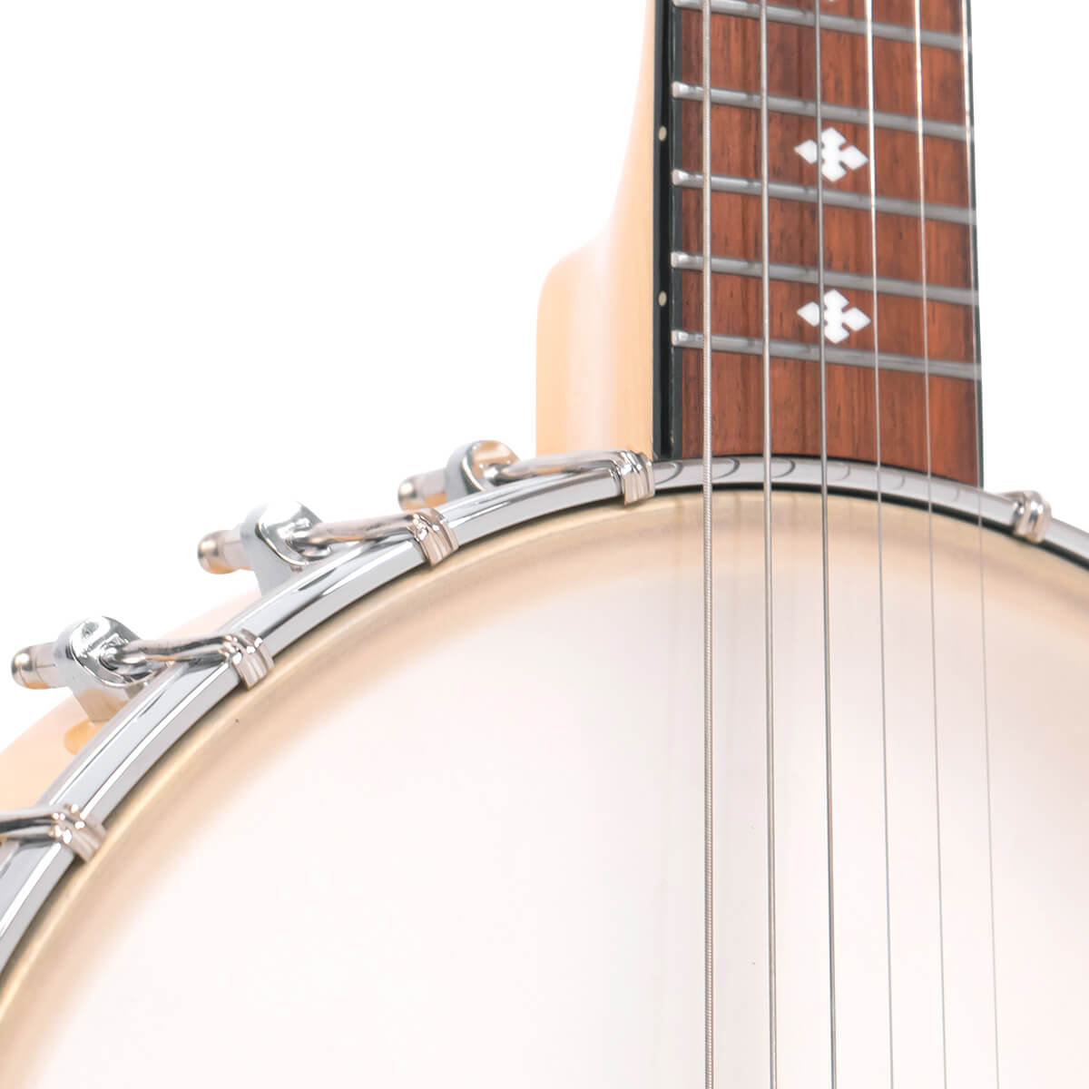 Gold Tone Banjitar, BT-1000 Banjos Gold Tone