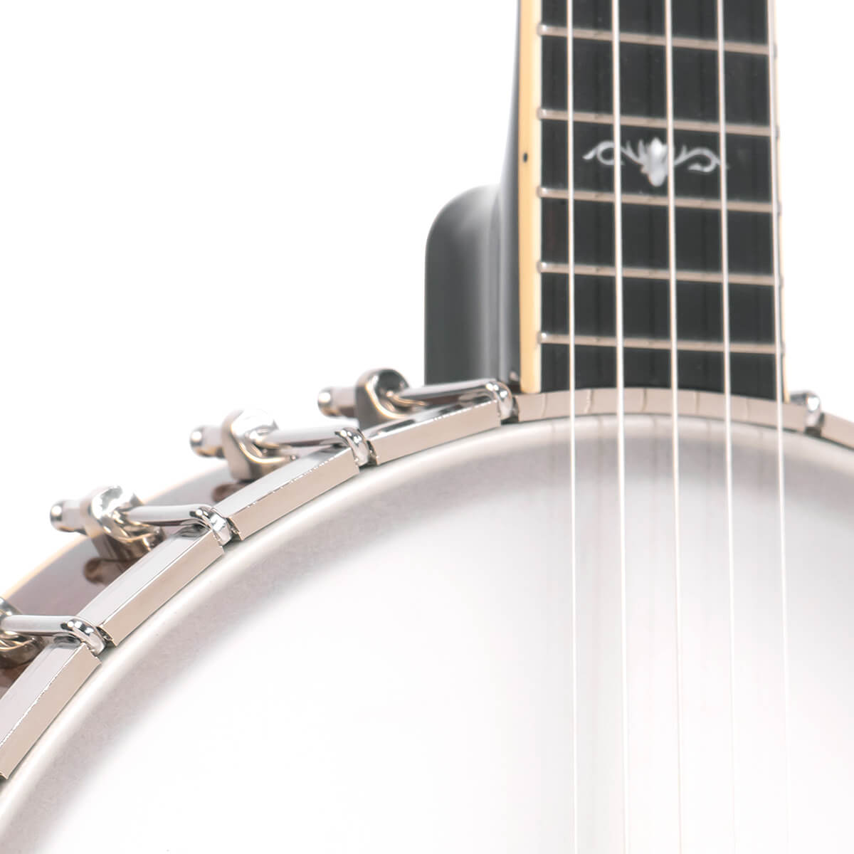 Gold Tone 5-String Cello Banjo Banjos Gold Tone