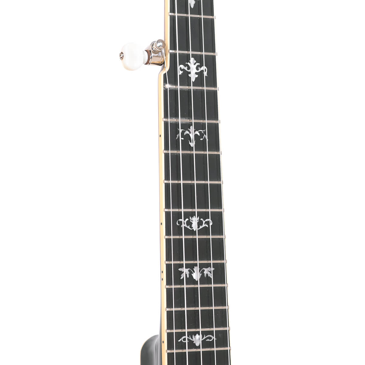 Gold Tone 5-String Cello Banjo Banjos Gold Tone