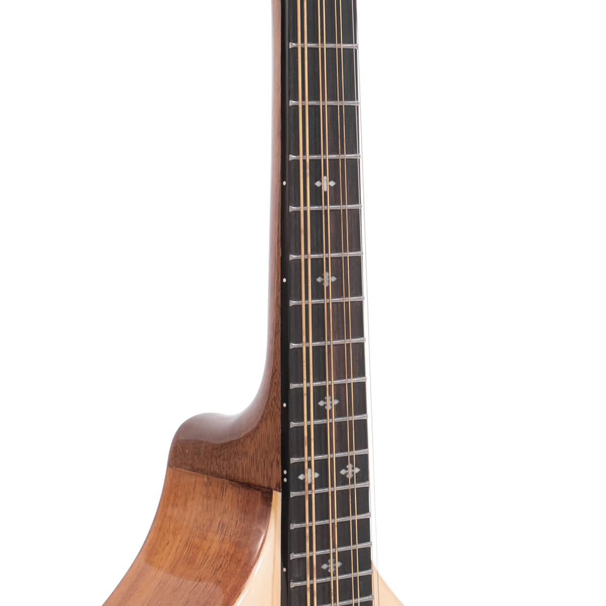 Gold Tone Mandola Mandolins Gold Tone