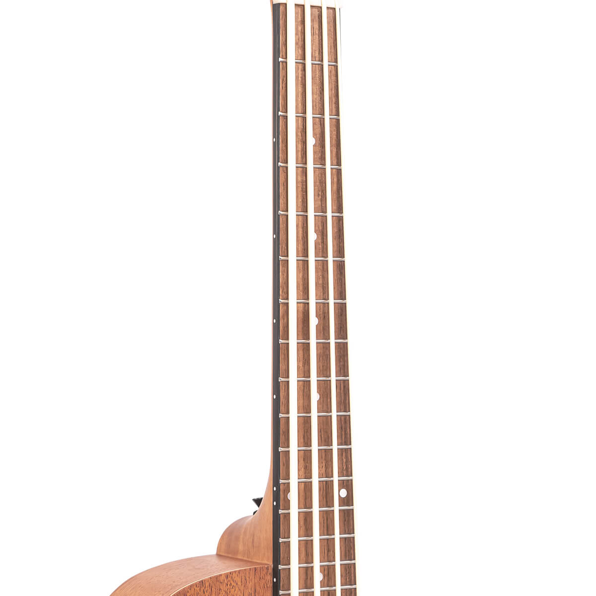 Micro Bass Guitars Lark in the Morning