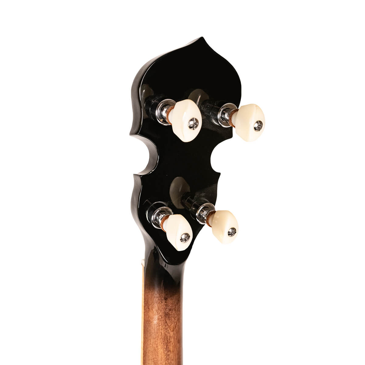 Gold Tone "Orange Blossom" Banjo, OB-250 Banjos Gold Tone