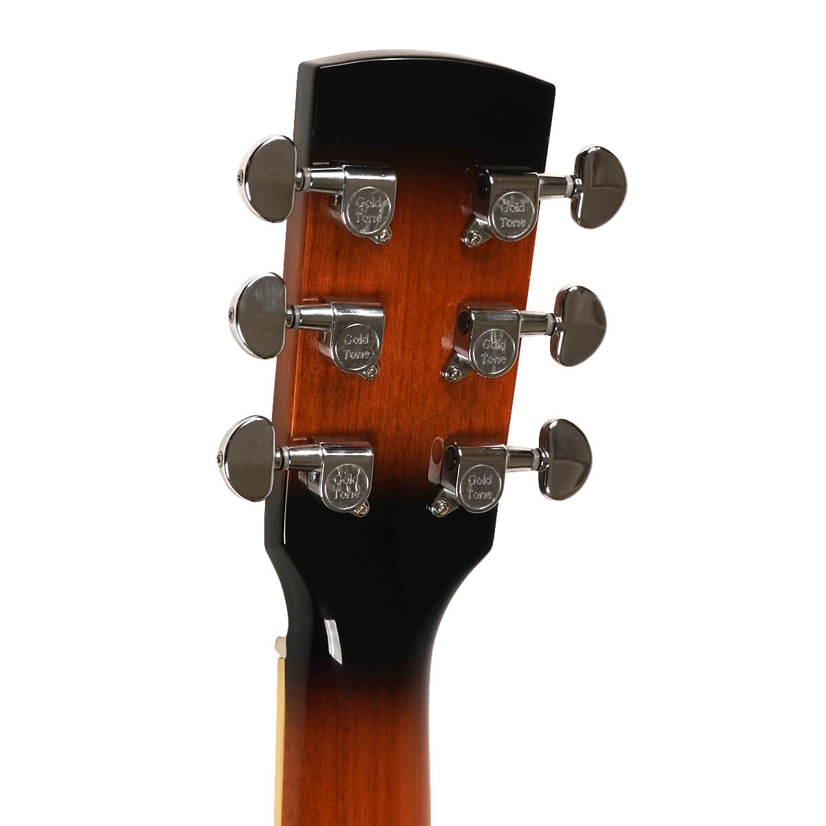 Paul Beard Signature-Series Roundneck Resonator Guitar Guitars Gold Tone