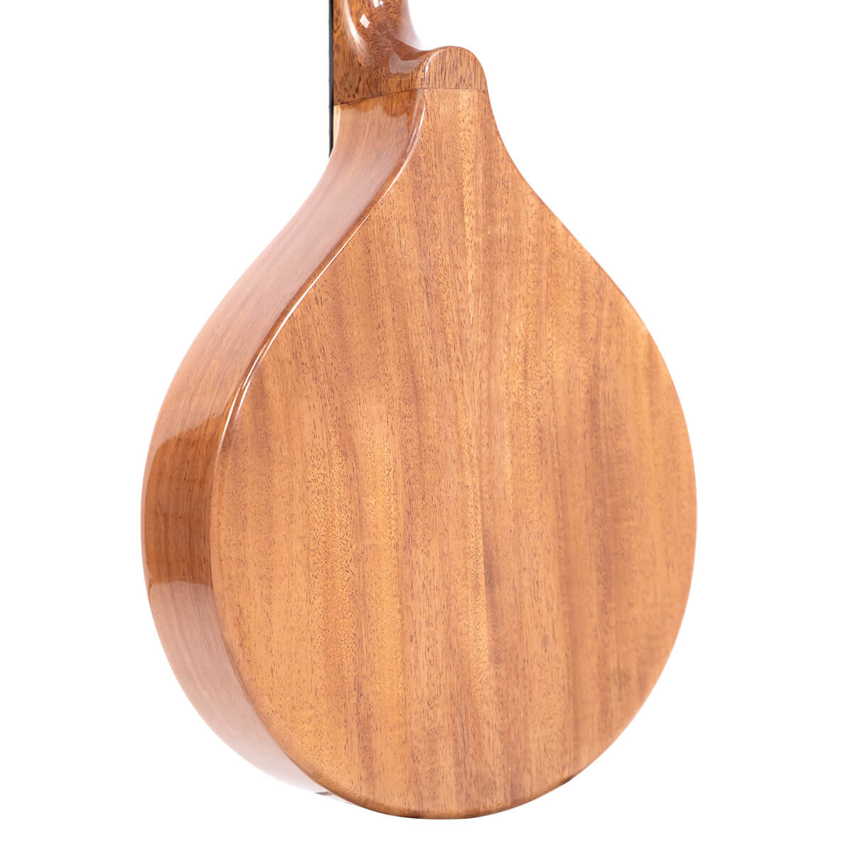 Gold Tone Mandola Mandolins Gold Tone