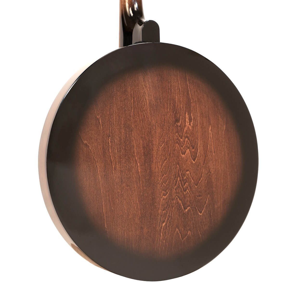 Gold Tone Mandolin Banjo (Banjolin) Banjos Gold Tone