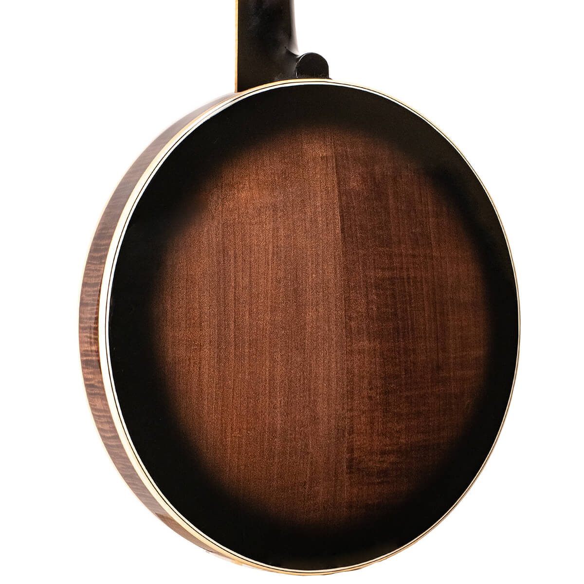 Gold Tone "Orange Blossom" Banjo, OB-250 Banjos Gold Tone