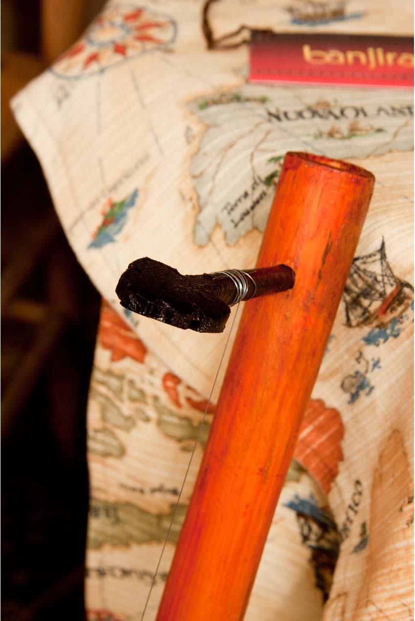 Ektara,  Tenor Plucked Strings - Others banjira