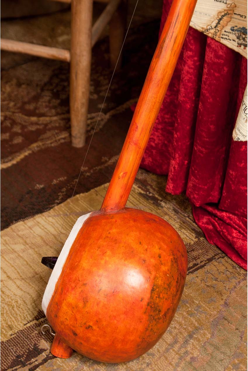 Ektara,  Tenor Plucked Strings - Others banjira