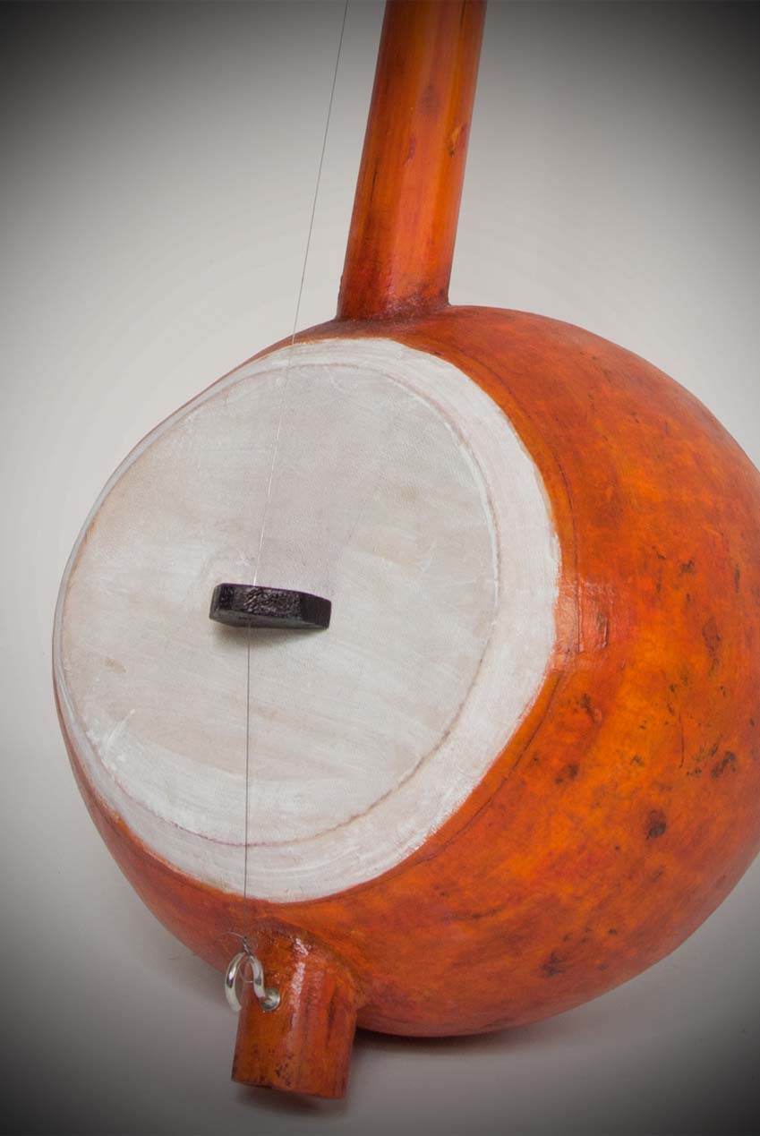 Ektara,  Tenor Plucked Strings - Others banjira