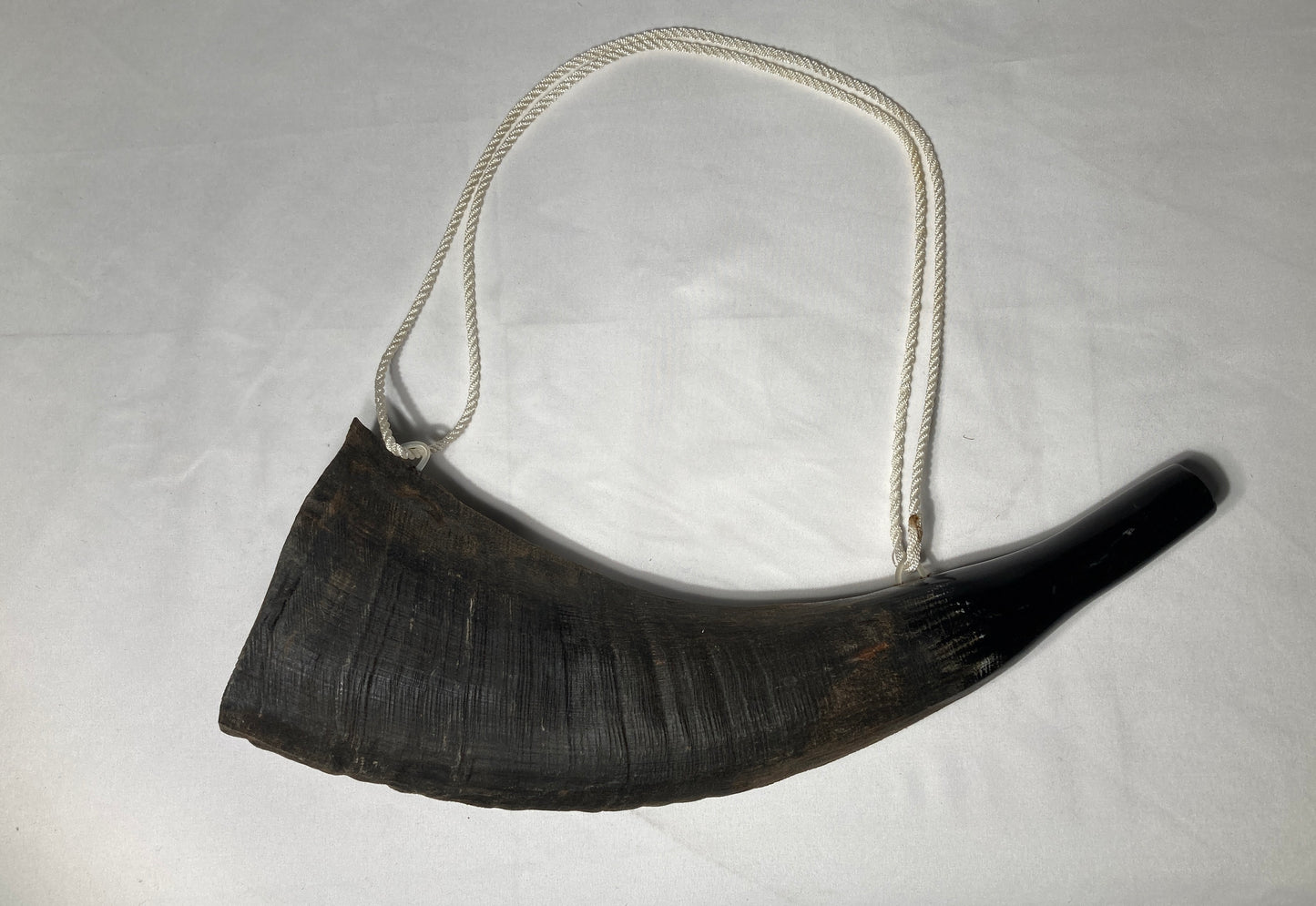 Buffalo Natural Horn Medium, with rope Horns Lark in the Morning