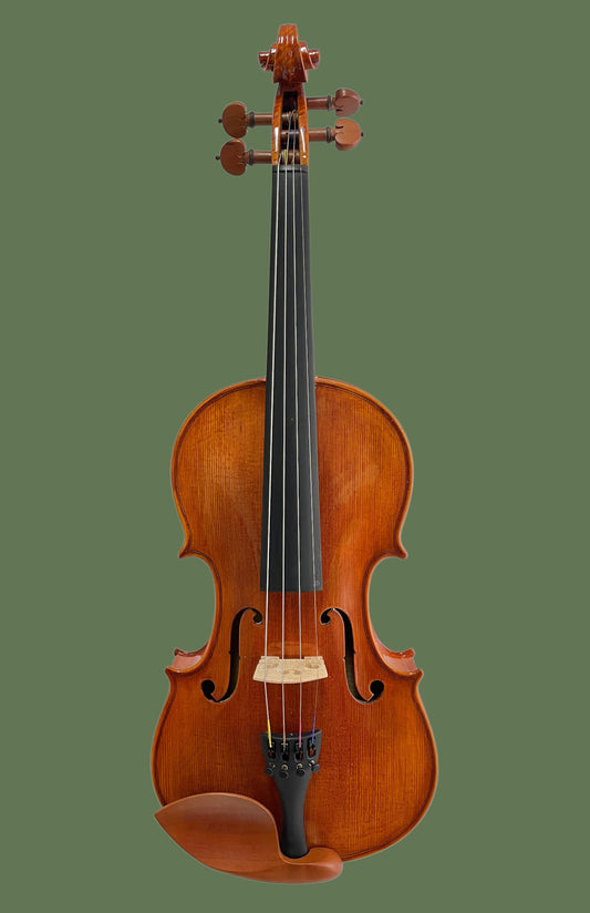 Vivace VV-600 Advanced Student Violin Violins Vivace