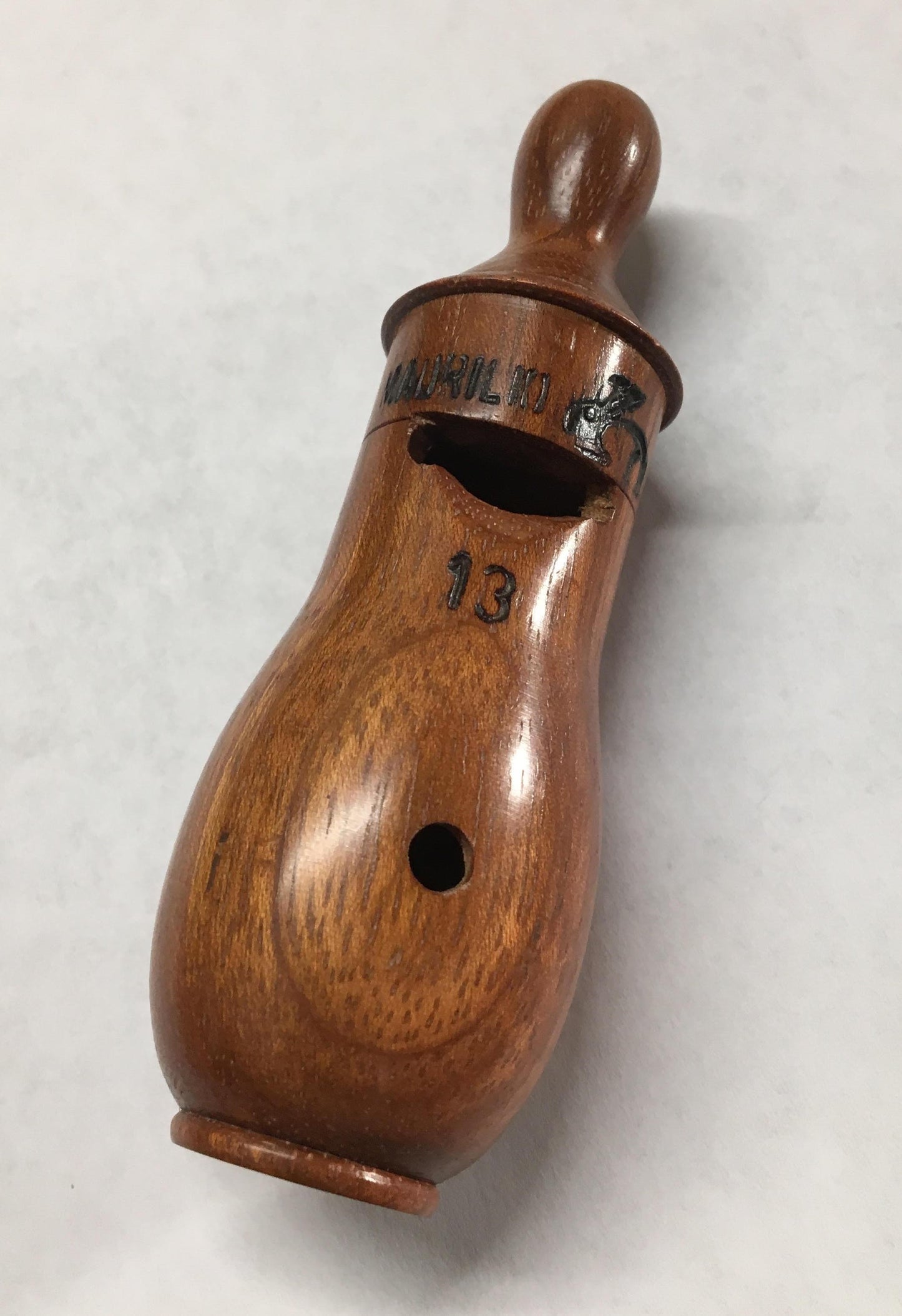 Bird Call, Undulated Tinamou Bird Calls Lark in the Morning