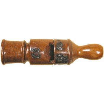 Little Tinamou Bird Calls Lark in the Morning