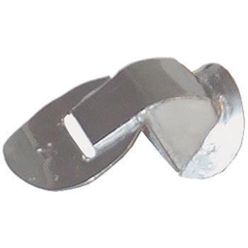 Owl Bird Calls Lark in the Morning