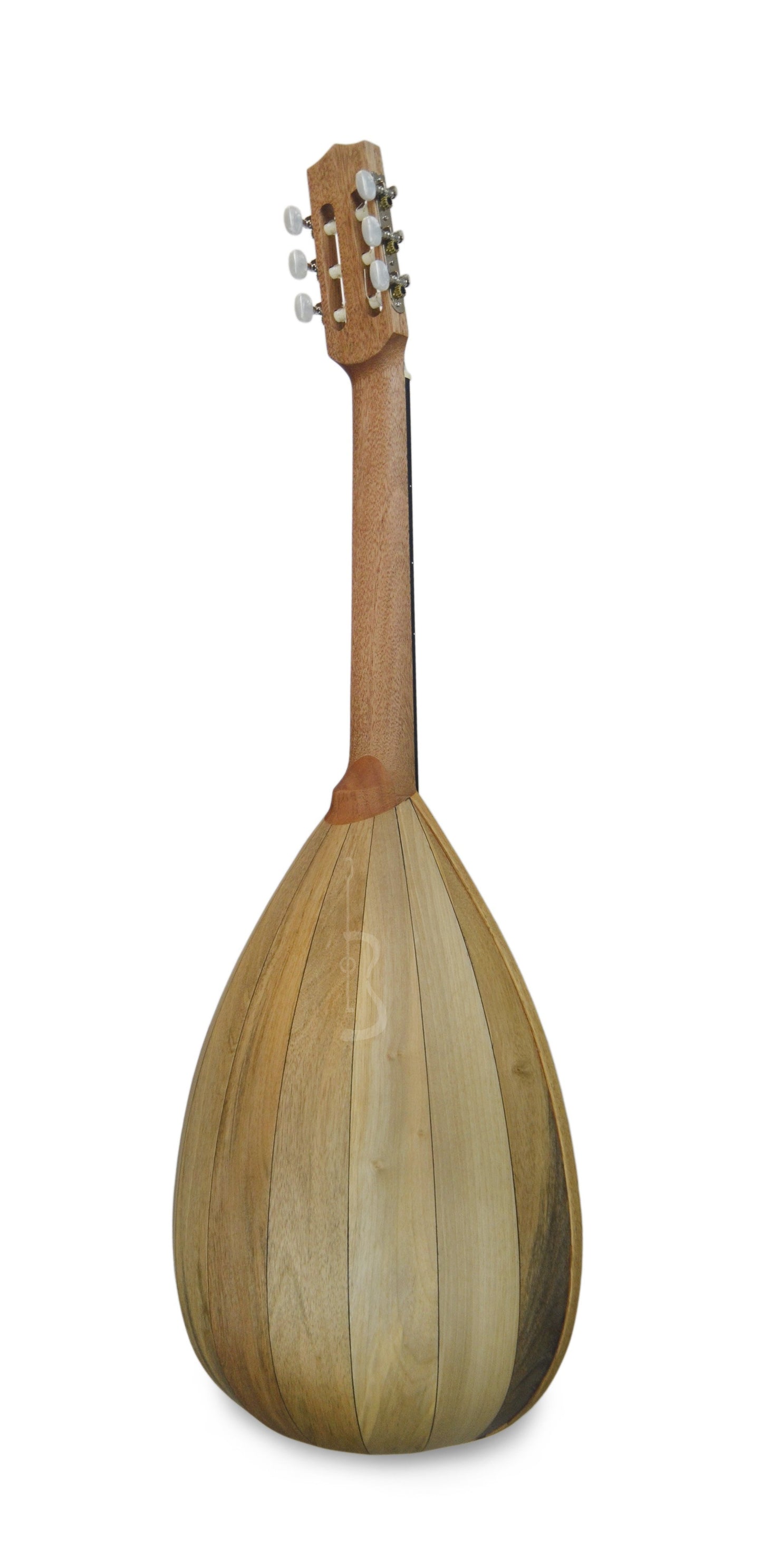 APC Lute Guitar Guitars APC