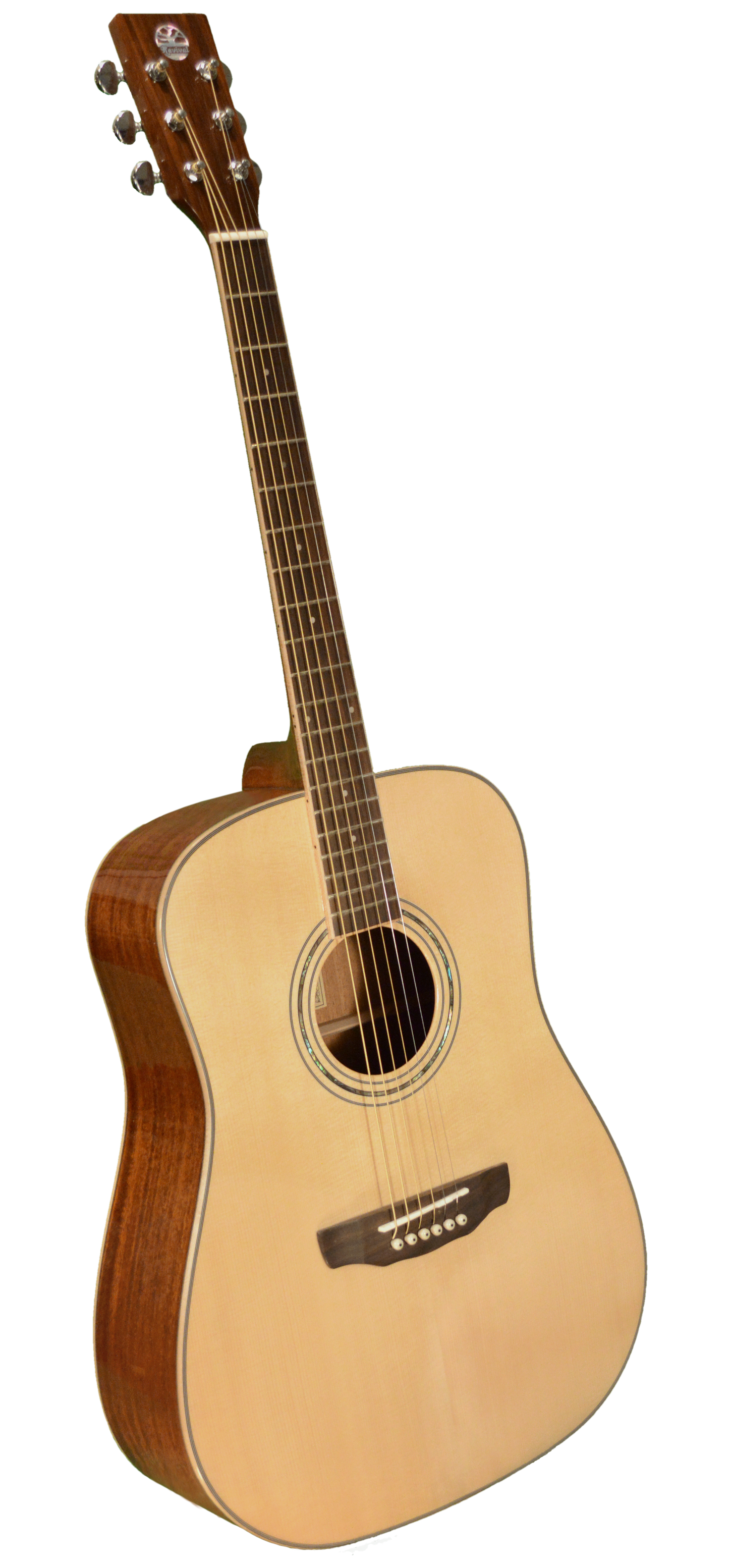 Revival RG-27 Dreadnought Guitars Revival