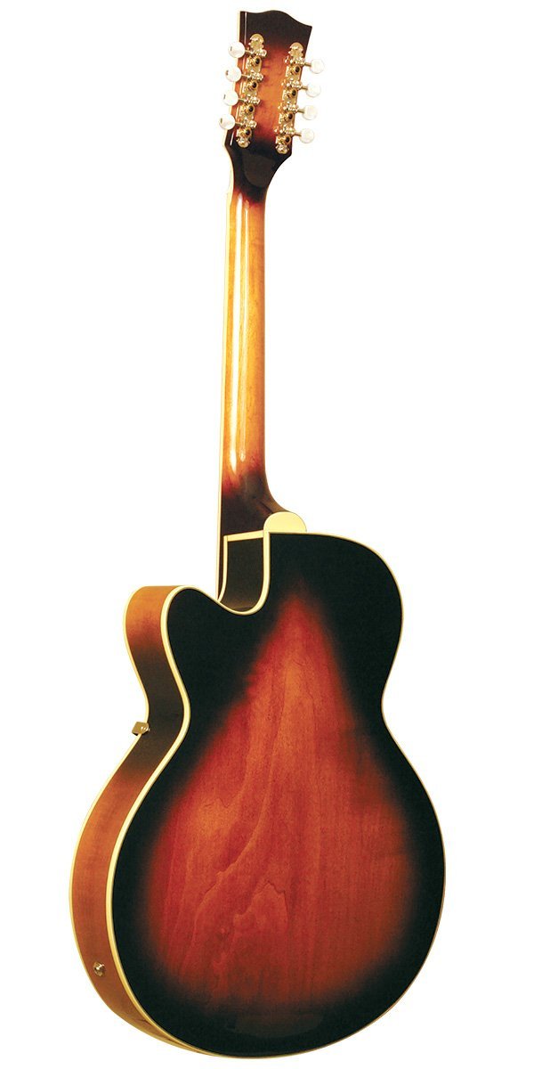 Gold Tone Mandocello w/ Pickup and Case Mandocellos Gold Tone