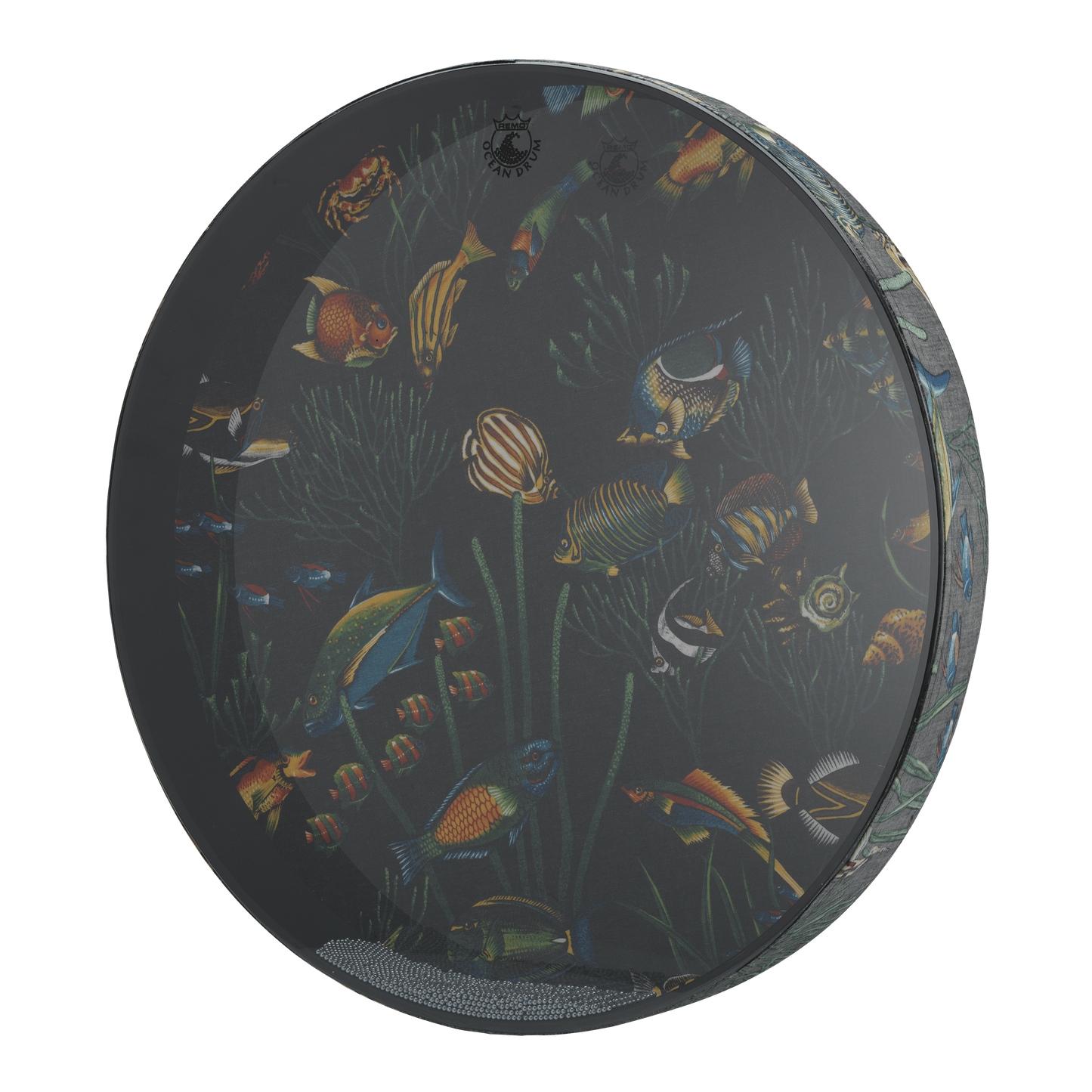 Remo Ocean Drum, 22" Diameter, 2 1/2" Depth, Fish Graphic Ocean Drums Remo