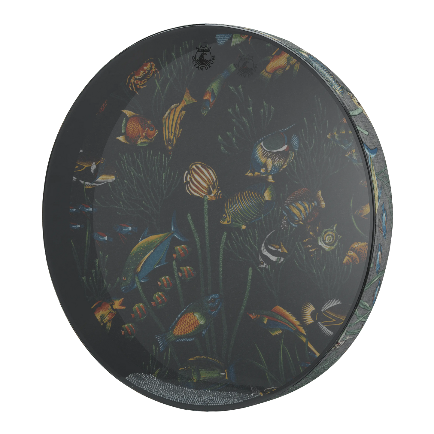 Remo Ocean Drum, 22" Diameter, 2 1/2" Depth, Fish Graphic Ocean Drums Remo