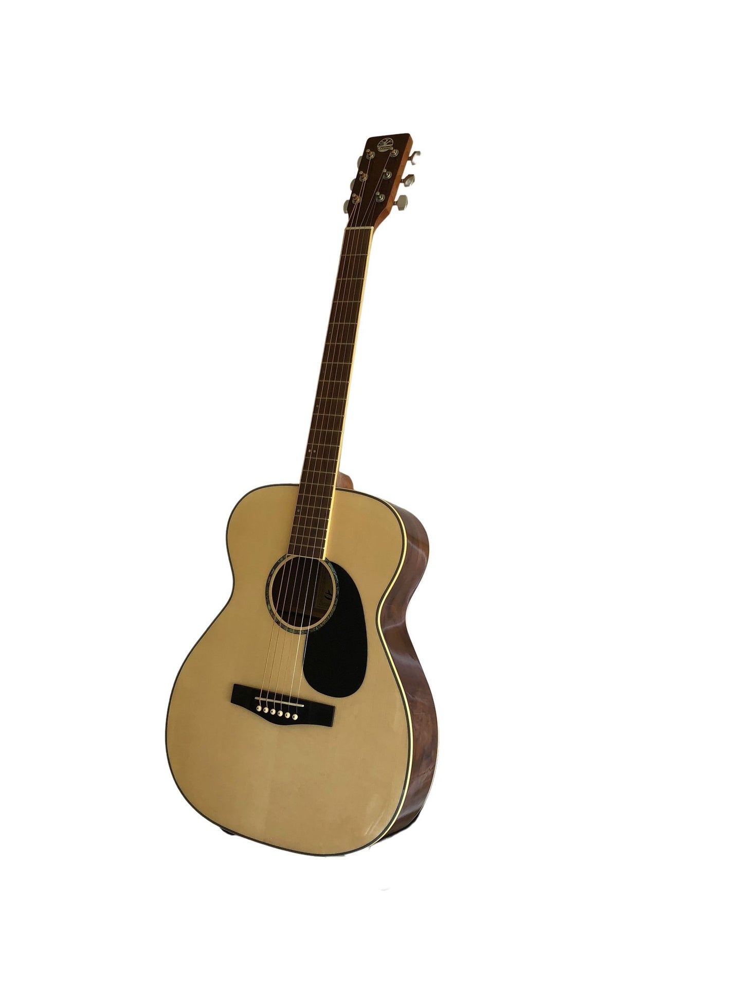 Revival RG-25 Spruce top, Black Walnut Thin Body Guitar Guitars Revival