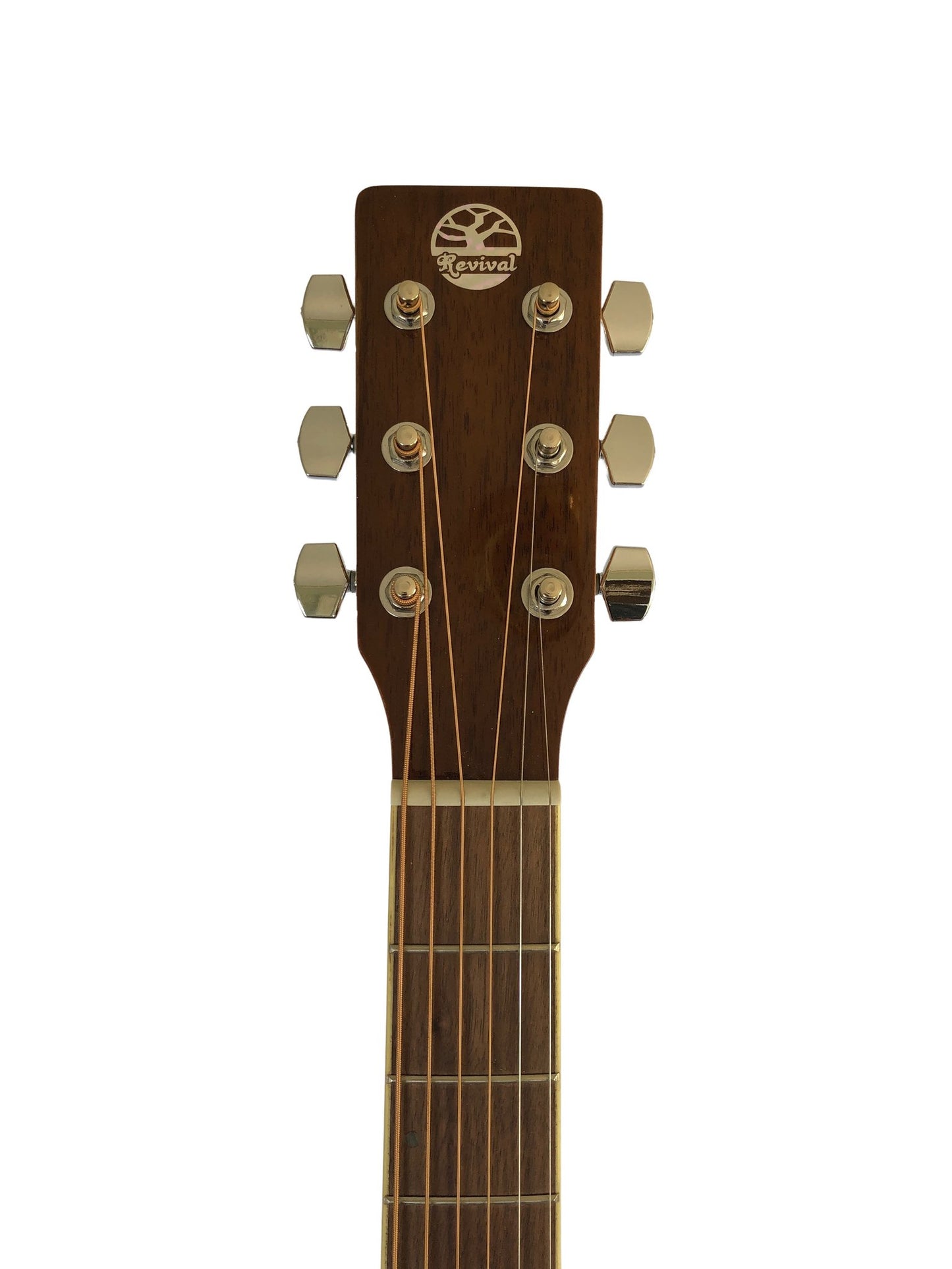 Revival RG-25 Spruce top, Black Walnut Thin Body Guitar Guitars Revival