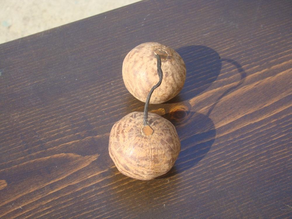 Asalato Shakers, Maracas & Rattles Lark in the Morning