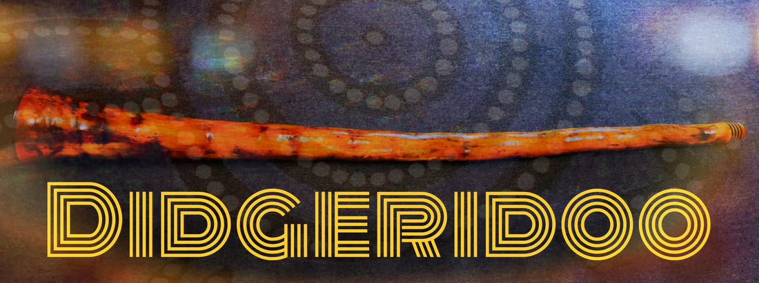 Didgeridoos at Lark in the Morning Music Store