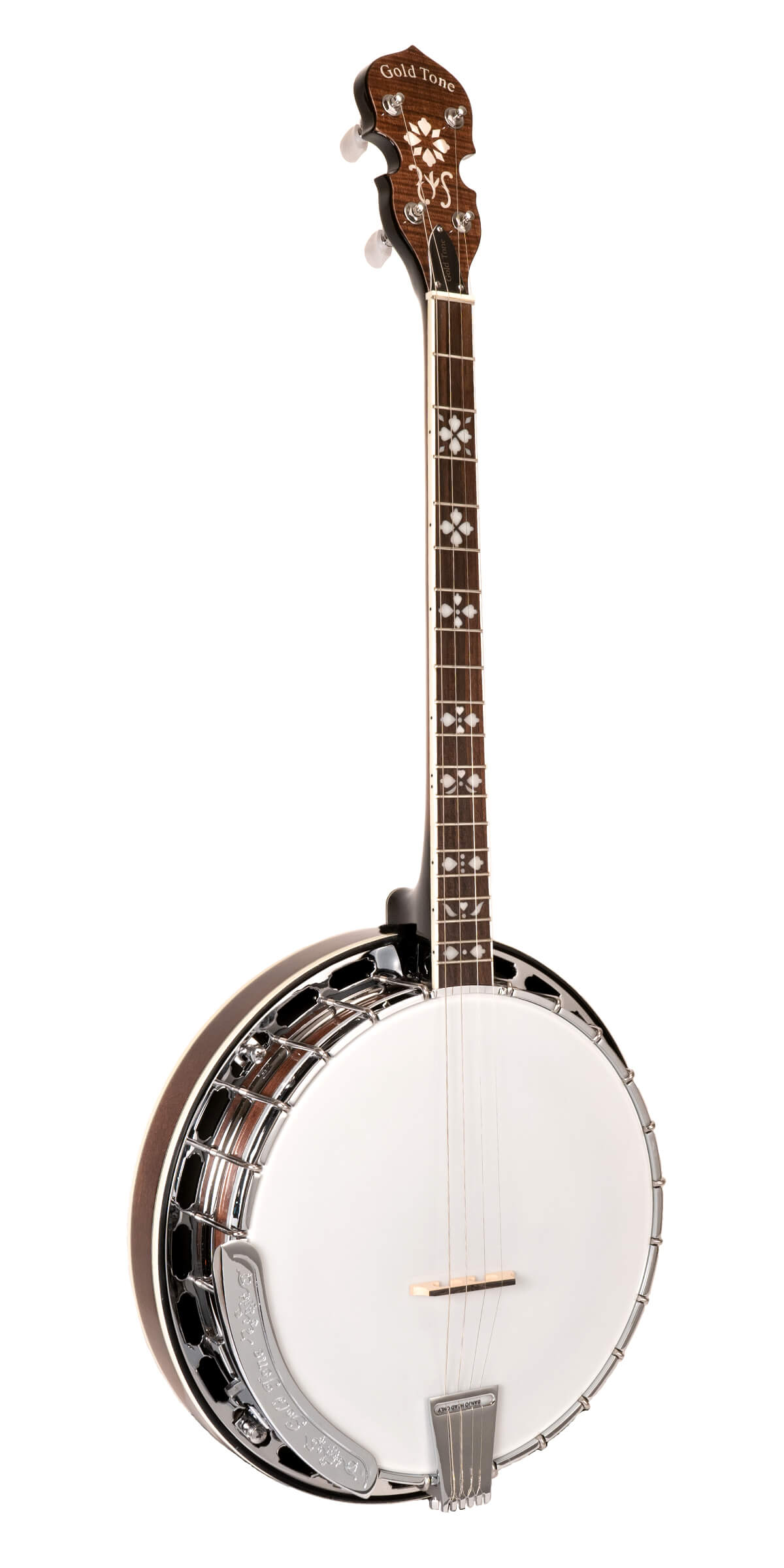 Gold Tone Tenor Special Banjo, TS-250 Banjos Gold Tone   